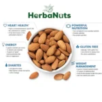 Raw California Almonds ( Badam ) - Image 4